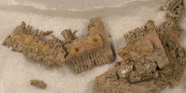 30-Pettine di osso-prima del restauro