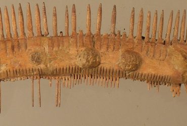 31-Pettine di osso-dopo il restauro