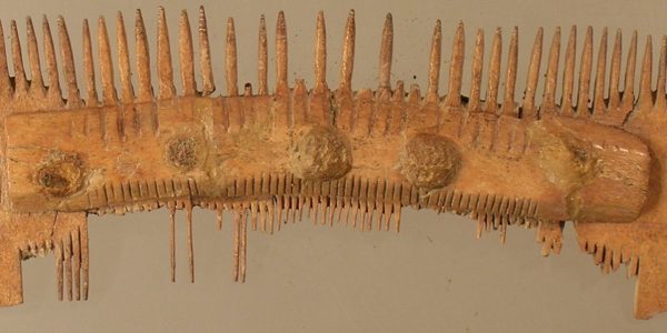 31-Pettine di osso-dopo il restauro